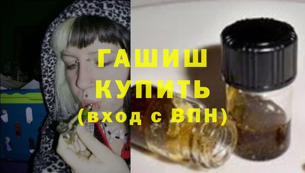 гашик Няндома