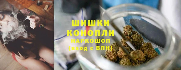 гашик Няндома
