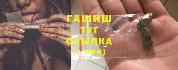 гашик Няндома