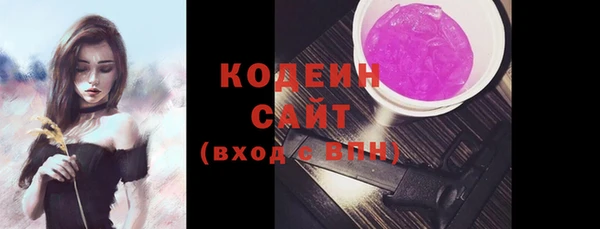 гашик Няндома
