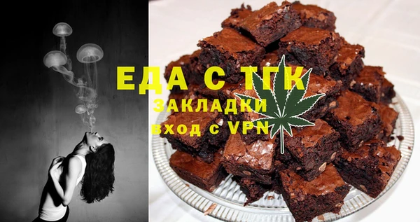 гашик Няндома
