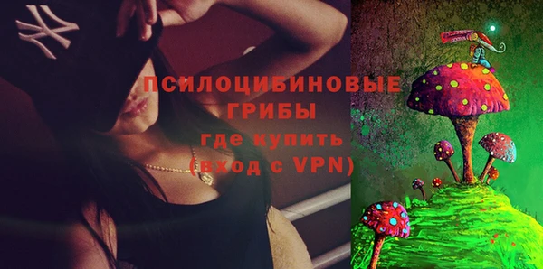 соль ск Новодвинск