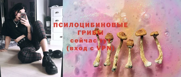 мет Нягань
