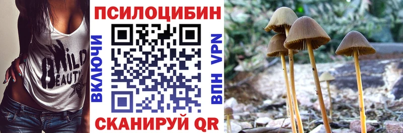 Галлюциногенные грибы Psilocybine cubensis  omg маркетплейс  Покровск 